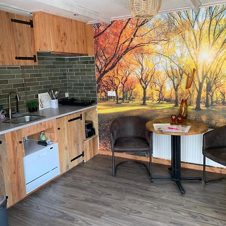 Veluwse Bos En Heide Studio Otterlo Ngoại thất bức ảnh