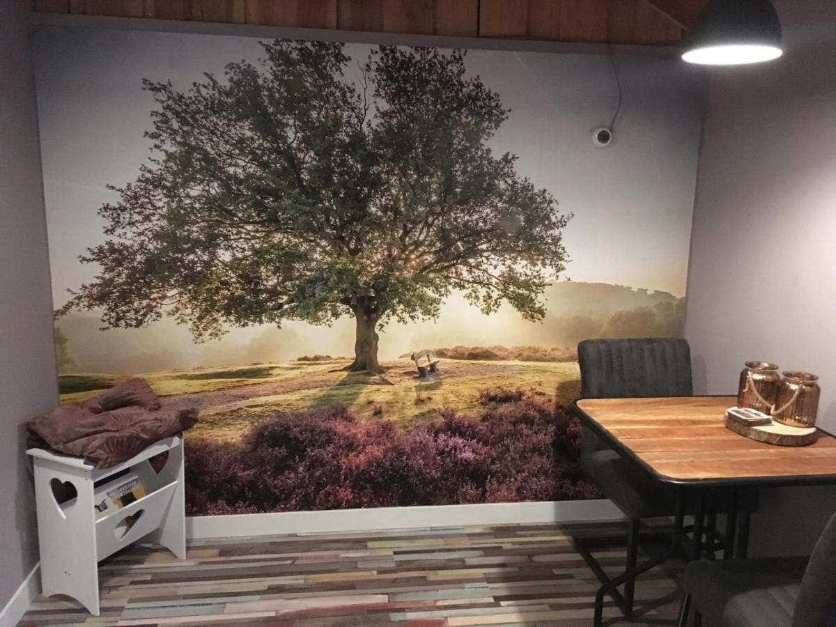 Veluwse Bos En Heide Studio Otterlo Ngoại thất bức ảnh